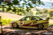 50.-nibelungenring-rallye-2017-rallyelive.com-0333.jpg